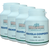 GRAVIOLA COMPOSTA - 1000 mg - Pague 3 leve 4